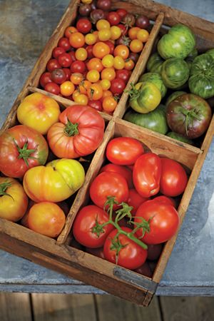 Canned Tomatoes
